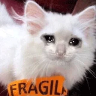 😭