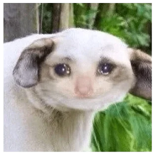 😭