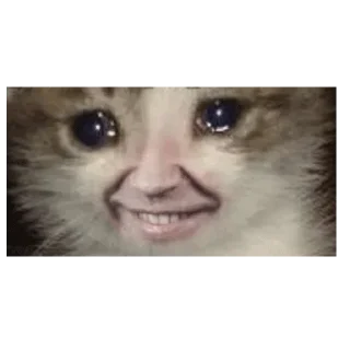 😭