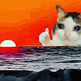 😭