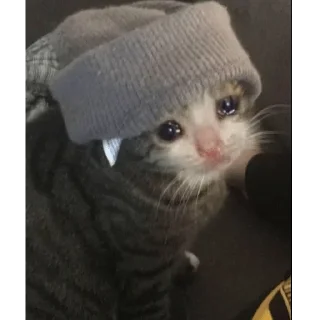 😭
