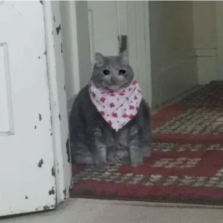 😭