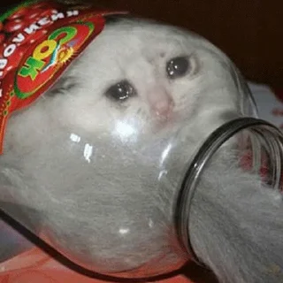 😭