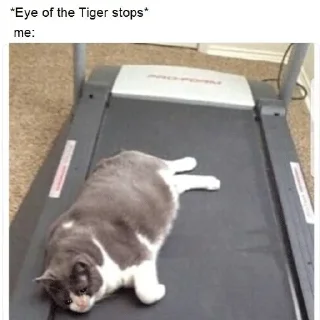 😭