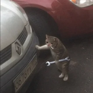 😭