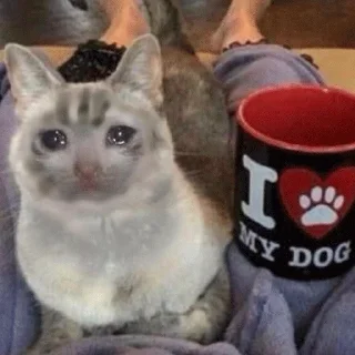 😭