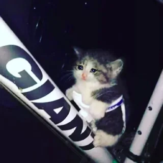 😭