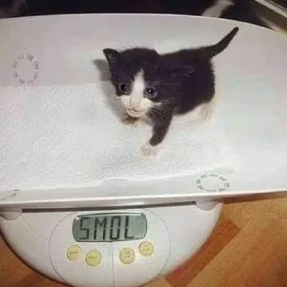 😭