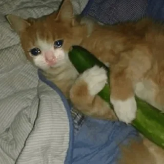 😭
