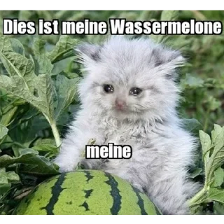 😭