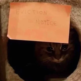 😭