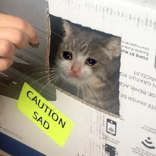 😭