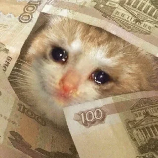 😭