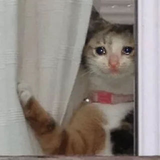 😭