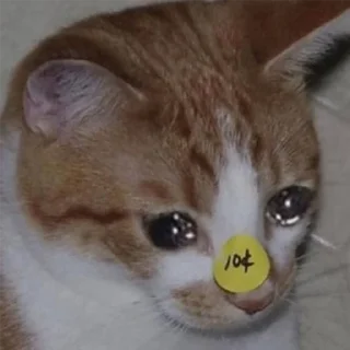 😭
