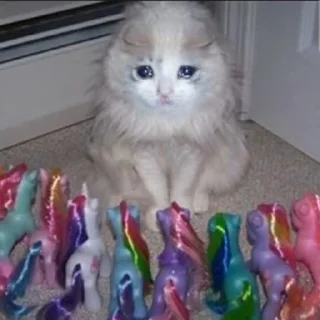 😭