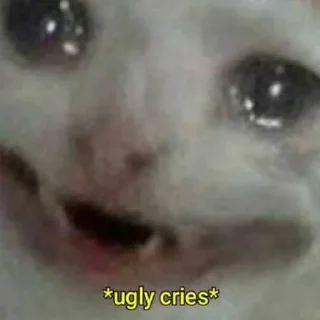 😭