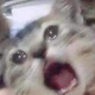 😭