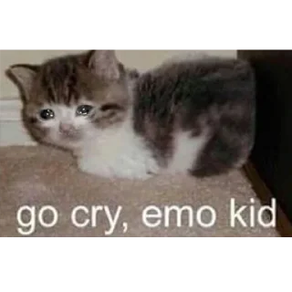 😭