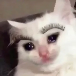 😭