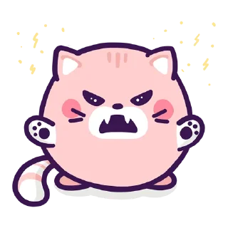 😾