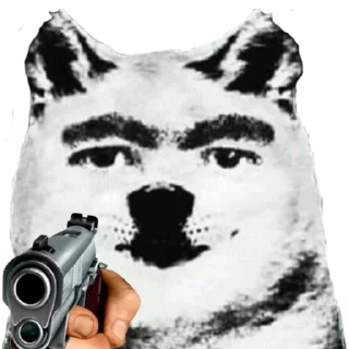 🐶