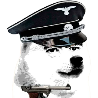 🐶