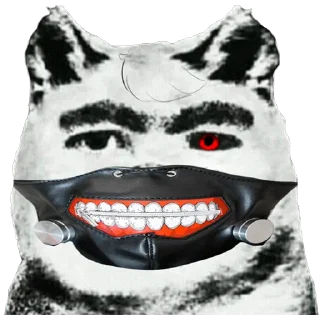 🐶