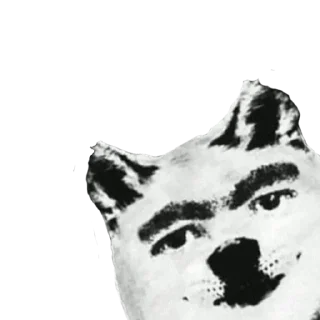 🐶