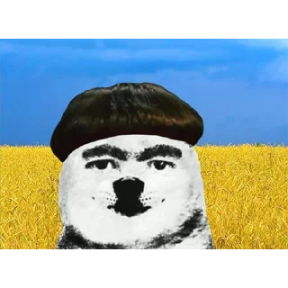 🐶