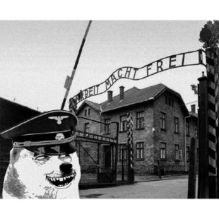 🐶