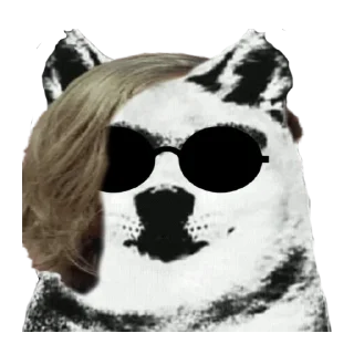 🐶