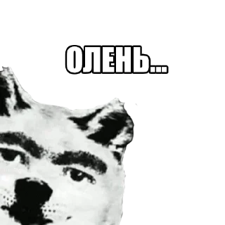 🐶