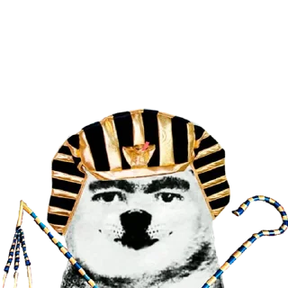🐶
