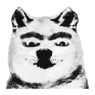 🐶