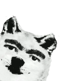 🐶