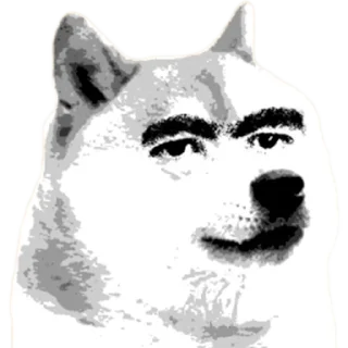🐶