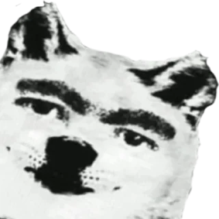 🐶