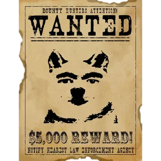 🐶