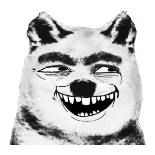 🐶