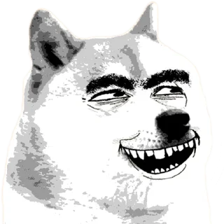 🐶