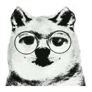 🐶