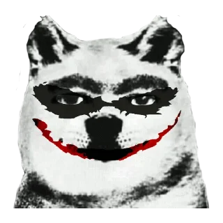 🐶