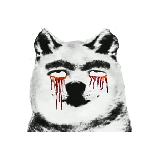 🐶
