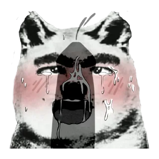 🐶
