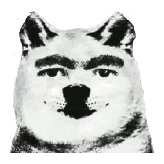 🐶