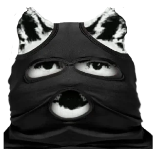 🐶