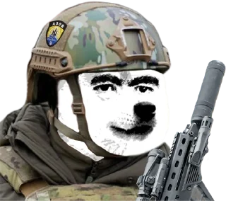 🐶