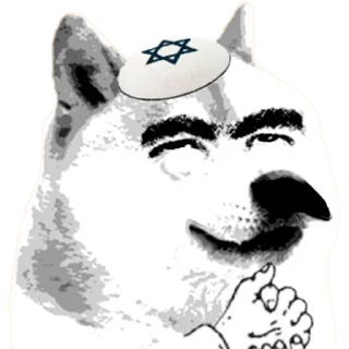 🐶