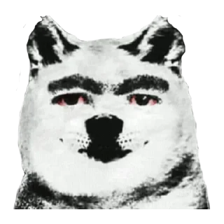 🐶